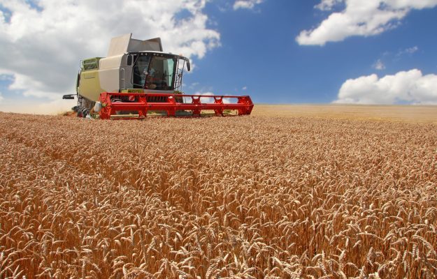 Agricultura