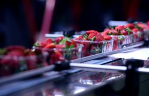 Alimentar