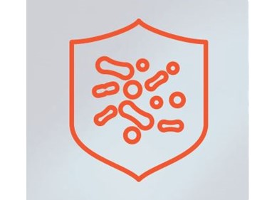 Smart [3] Plus