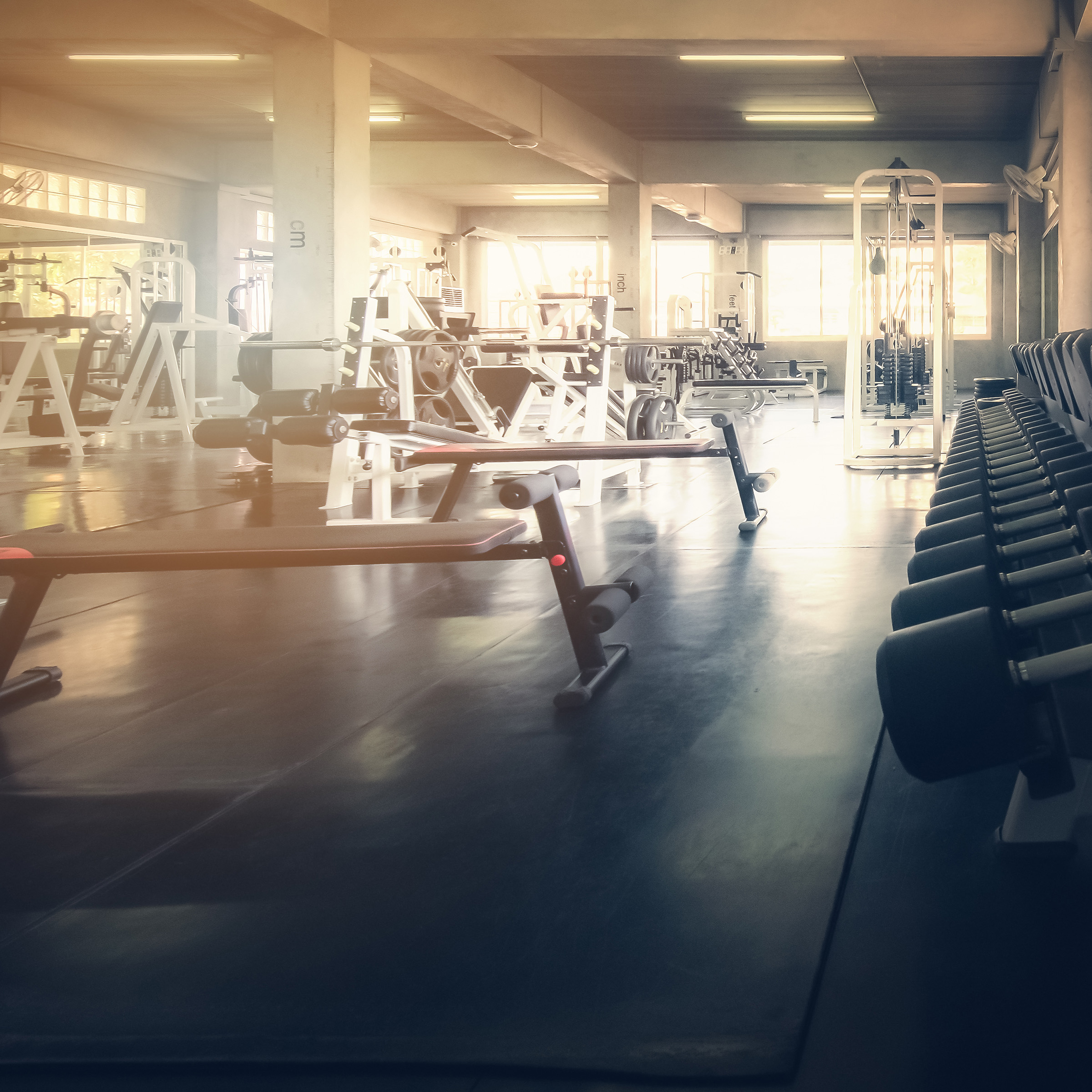 Palestra e SPA: soluzioni e Building Automation anche per il comfort