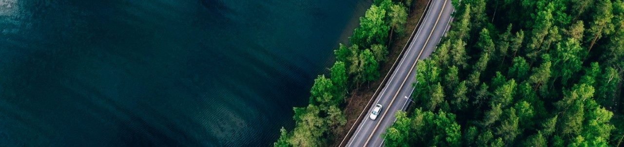 White car running on a road in the woods 