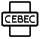CEBEC_21539%20IDP