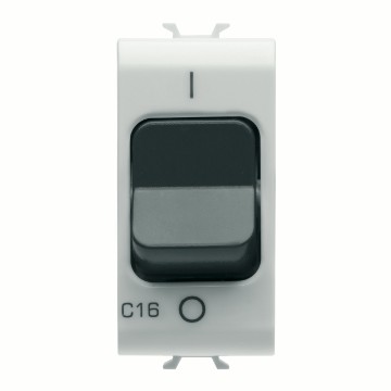 Disjoncteurs magnétothermique - courbe C - 230V ca Disjoncteurs magnétothermique - courbe C - 230V ca