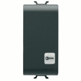 bouton-poussoir 1p 250 vca - no 16a avec diffuseur - avec lentille remplaçable - symbole : clé - 1 module - noir satin - chorusmart