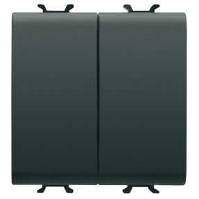 interrupteur jumeau 2 voies 250 vca - connexion automatique - 1p 16ax - bouton neutre - 2 modules - noir satin - chorusmart