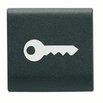  INTERCHANGEABLE BUTTON KEY - 22X22mm - KEY - SATIN BLACK - CHORUSMART