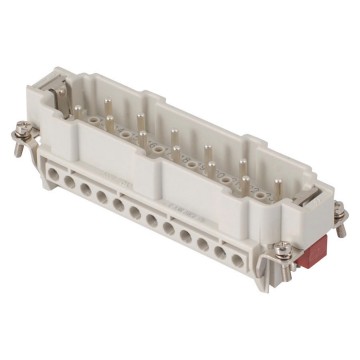 Connessione a vite maschio Connessione a vite maschio
