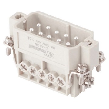 Connessione a vite maschio Connessione a vite maschio
