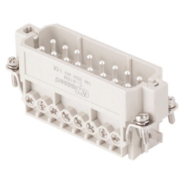 Connessione a vite maschio Connessione a vite maschio