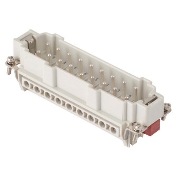 Connessione a vite maschio Connessione a vite maschio