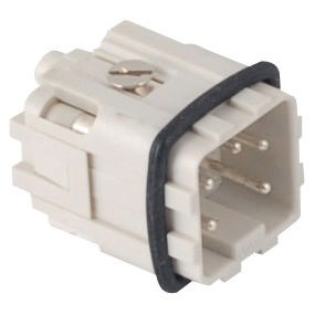 Connessione a vite maschio Connessione a vite maschio