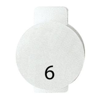 LENS WITH ILLUMINATED SYMBOL FOR COMMAND DEVICES - SIX - SYMBOL 6 - SYSTEM WHITE