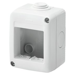 protected enclosure for system devices - 2 gang - ral 7035 grey - ip40