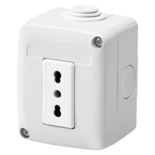 PROTECTED ENCLOSURE COMPLETE WITH SYSTEM DEVICES - WITH SOCKET-OUTLET 2P+E 16 A DUAL AMPERAGE - ITALIAN STANDARD - IP40 - GREY RAL 7035