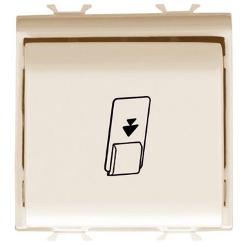 Interruptor de cartão