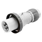GEWISS Steckdose 2P+T IP55 Blau – 16A, 230V, Für Außenbereich & Industrie – Robust & Sicher