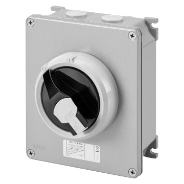 Interruptores de superficie para mando, en metal, con maneta negra - IP66 Interruptores de superficie para mando, en metal, con maneta negra - IP66