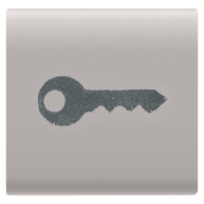 BUTON INTERSCHIMBABIL - 22X22mm - CHEIE - BEJ SATINAT NATURAL - CHORUSMART