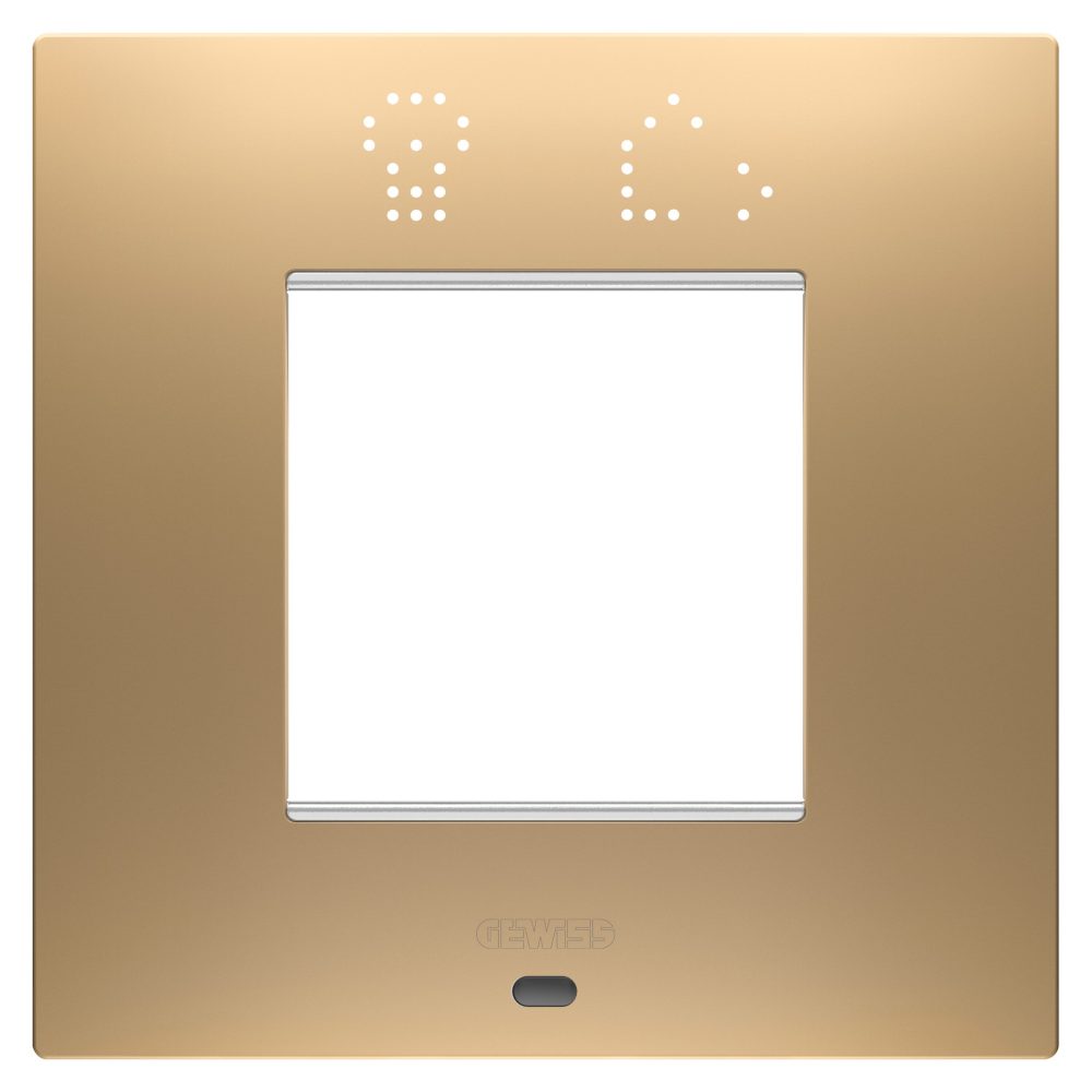  ego smart internationale plaat - van gelakt technopolymeer - 2 module - goud - chorusmart