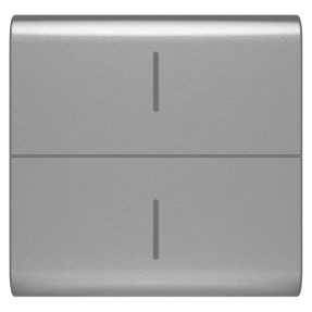 tasto intercambiabile per pulsantiera connessa eco - 2 moduli - titanio - chorusmart