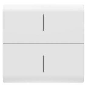 tecla intercambiable para panel pulsador eco connected - 2 módulos - blanco satinado - chorusmart