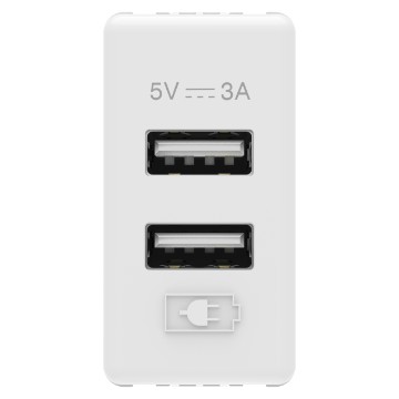 Dual USB chargers for electronic devices