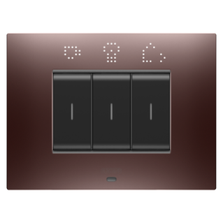 CHORUSMART - Domestic range 
EGO SMART plates