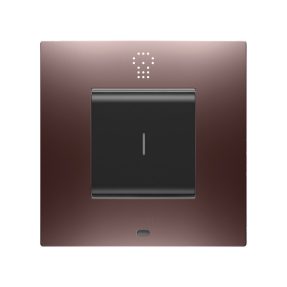 CHORUSMART - Domestic range<br />
EGO SMART INTERNATIONAL plates