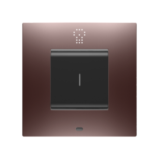 CHORUSMART - Domestic range 
EGO SMART INTERNATIONAL plates